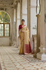 Ikkat Soft Desi Raw Silk Saree