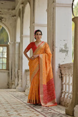 Ikkat Soft Desi Raw Silk Saree
