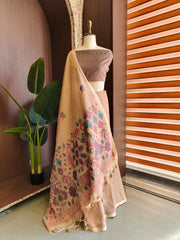 Chanderi Cotton Jamdani Weaving Saree