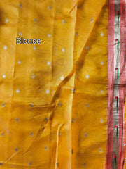 Soft Organza Rajhans Paithani Saree