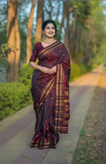 Traditional Narayan Peth Saree