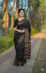 Traditional Narayan Peth Saree
