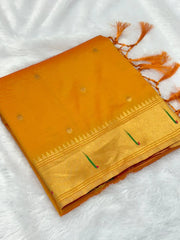 Soft Parrot Paithani Silk Saree