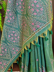 Soft Mul Cotton Pashmina Weaving Saree