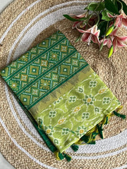 Soft Khadi Raw Silk Weaving Patola Saree