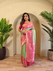Dual Tone Contrast Pallu Designer Saree