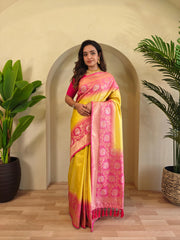 Dual Tone Contrast Pallu Designer Saree