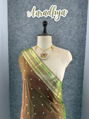 Janhvi Kapoor–Inspired Kanchivaram Paithani Silk Saree