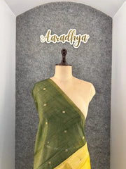 Pure Muga Cotton Parrot Paithani Saree