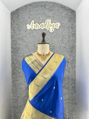 Kanchivaram Paithani Silk Big Parrot Zari Border Saree