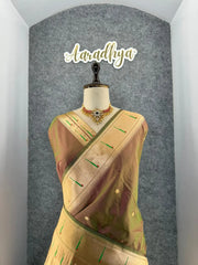 Kanchivaram Paithani Silk Big Parrot Zari Border Saree