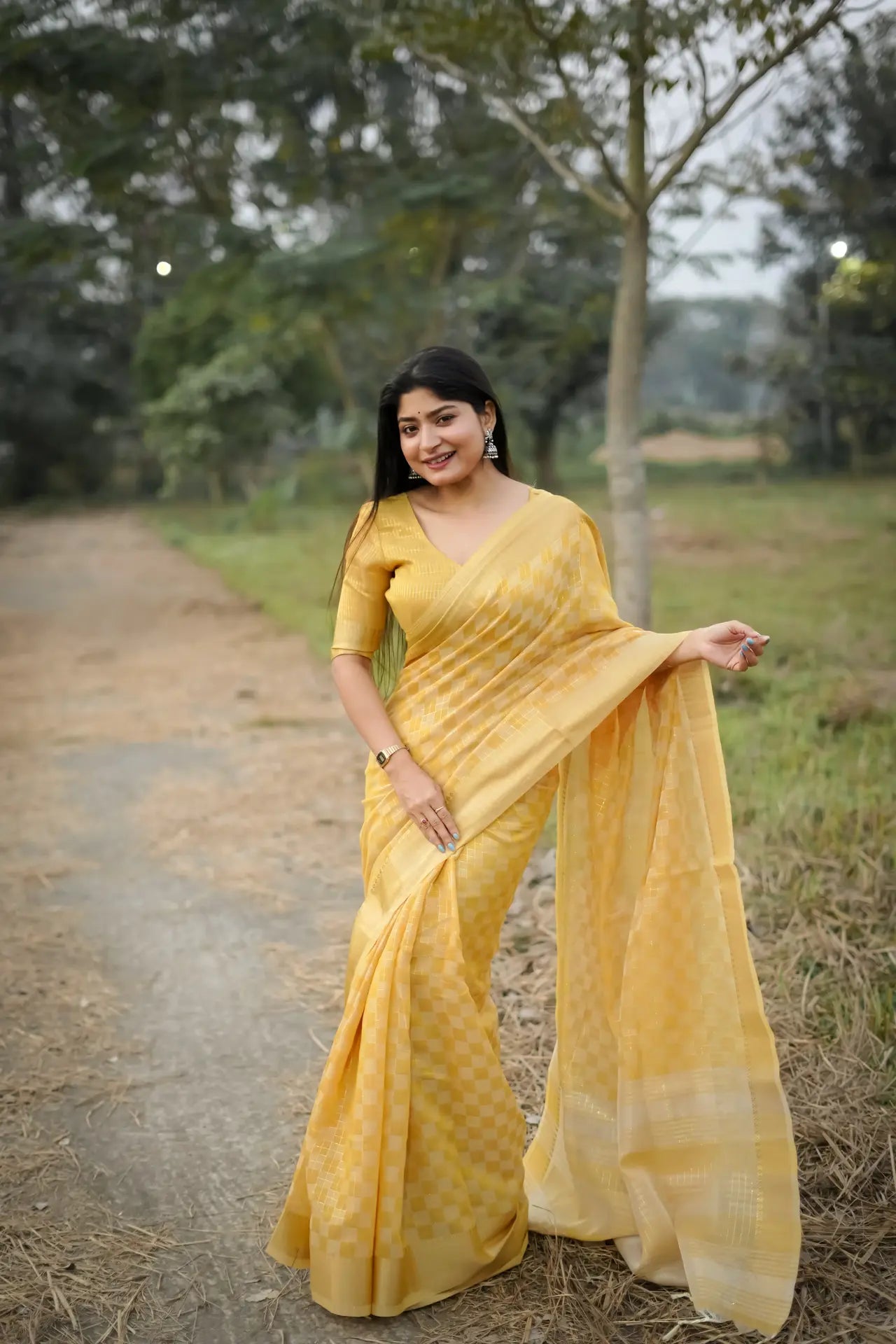Soft Kalyani Silk Checks Box Pattern Saree