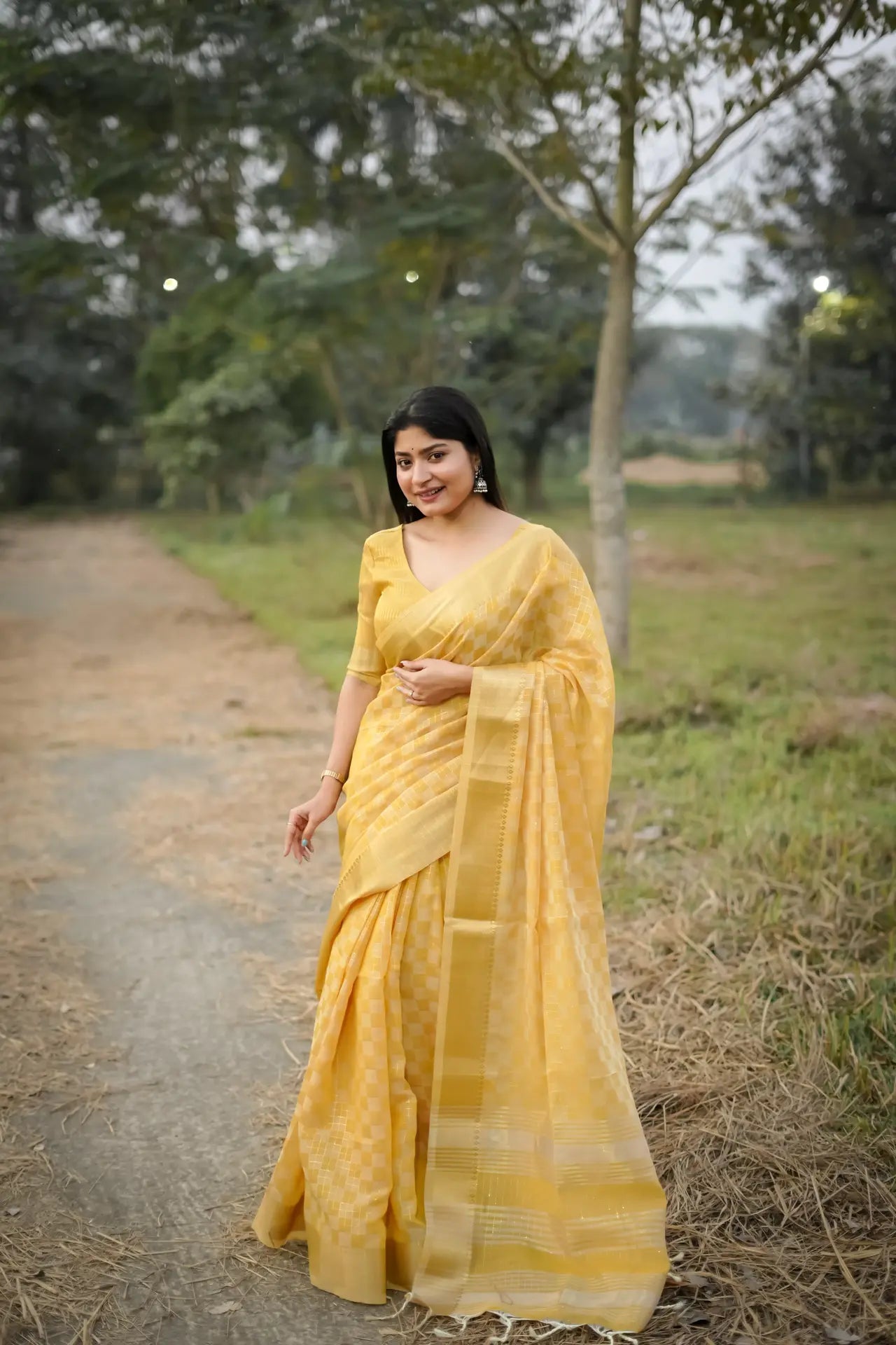Soft Kalyani Silk Checks Box Pattern Saree