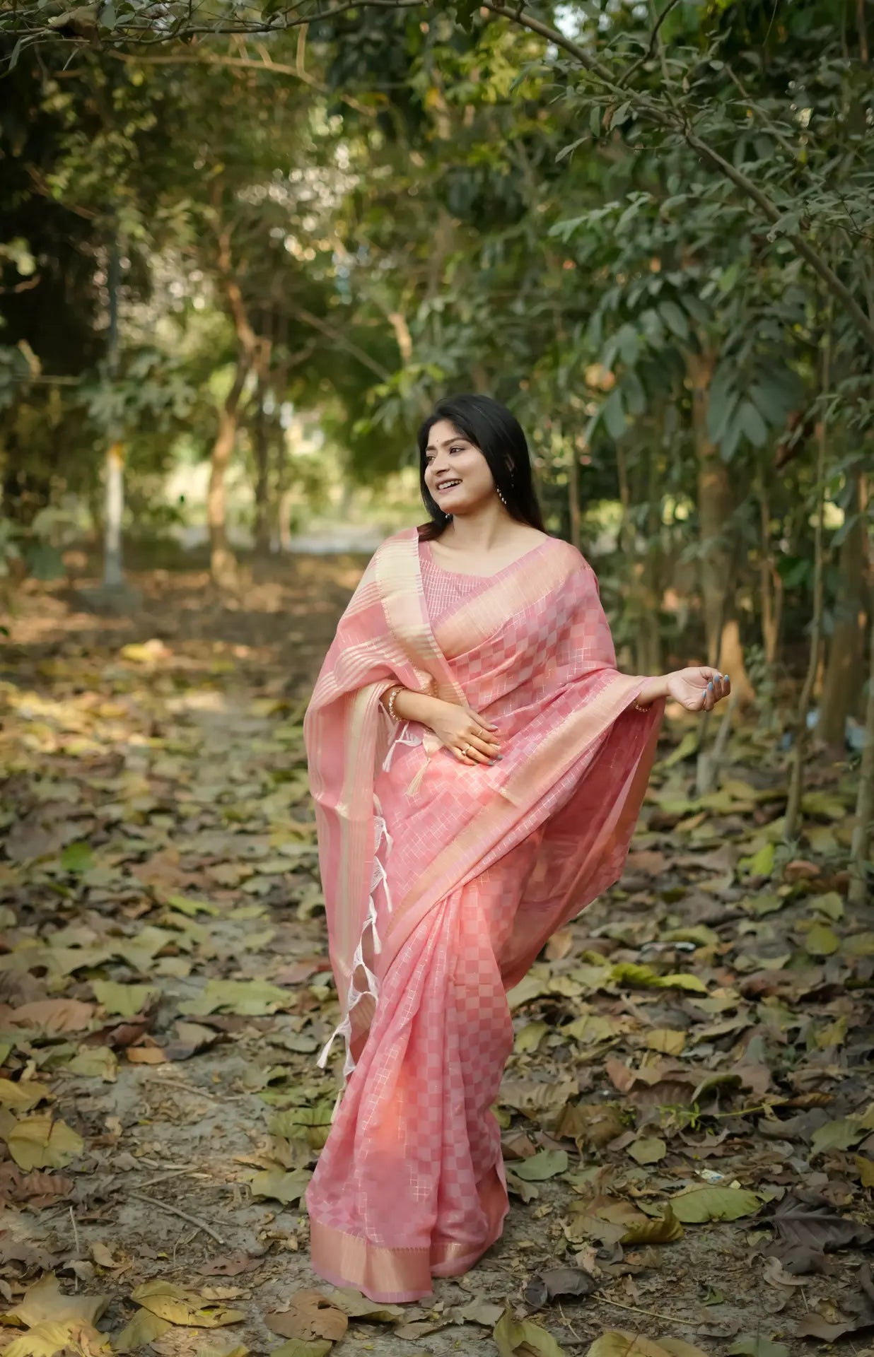 Soft Kalyani Silk Checks Box Pattern Saree