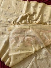 Soft Muga Cotton Double Morni Woven Paithani Saree