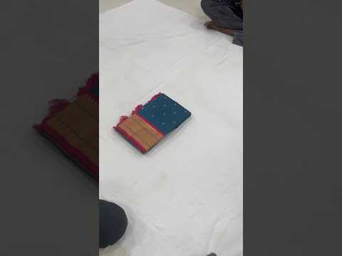 Paithani Saree with Swan Meenakari Pallu