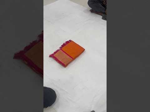 Paithani Saree with Swan Meenakari Pallu