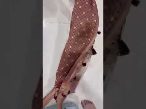 Soft Gaji Silk Position Pashmina Saree